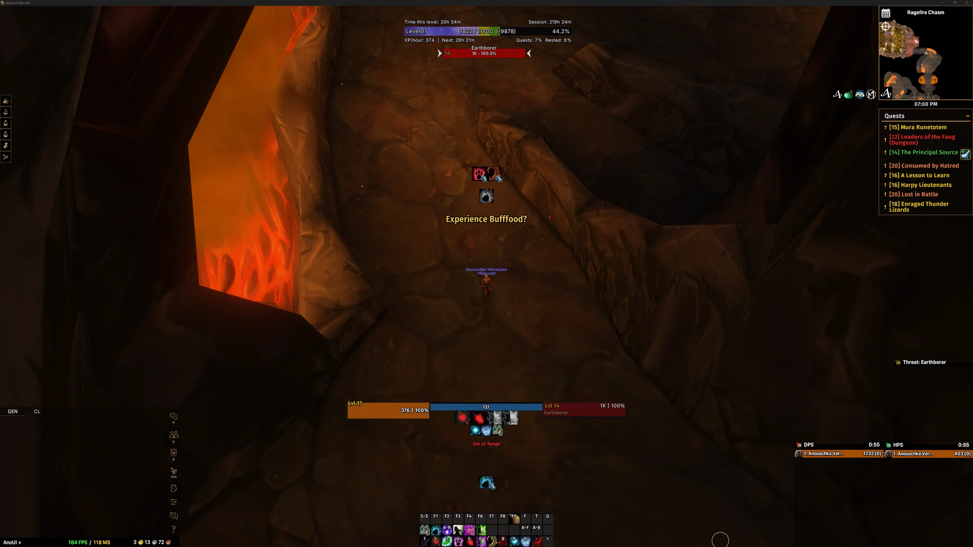 AnoUI+ interface in WoW Forever, with custom unit frames, action bars, chat and damage meters